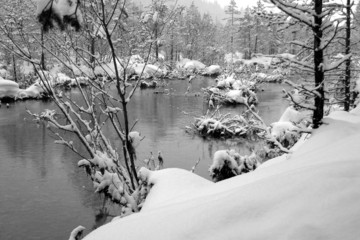 winter an der isar
