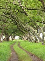 natural arch 2