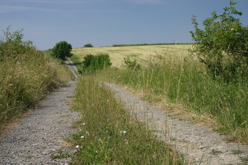 feldweg 2