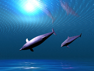 undersea dolphins