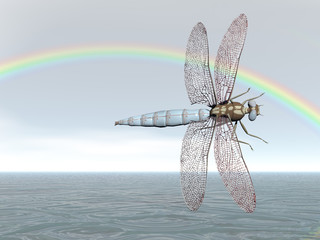 rainbow dragonfly