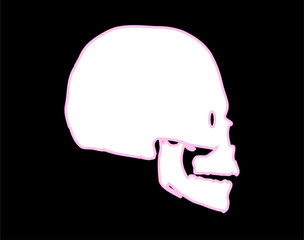 simple skull