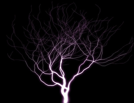purple lightning tree