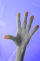 fingertips