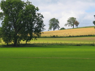 paysage de la campagne en cambrie