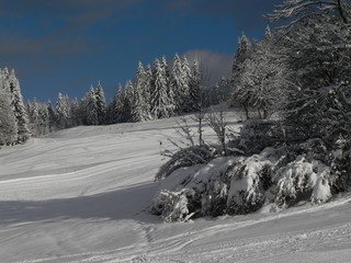 paysage d'hiver