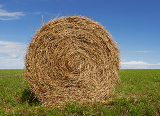 hay bale