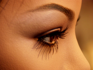 cils et regard