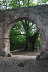 tor burg blomberg