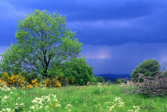 Ciel Couvert