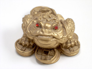 feng shui frog