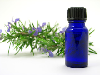 rosemary herb & oil bottle