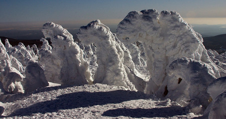 eismenschen