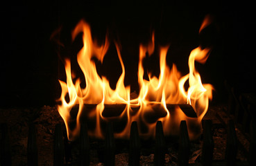 burning log - Powered by Adobe