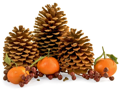 three pine cones with berries, pinole and oranges