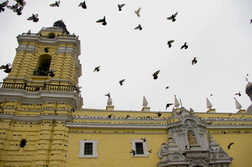 palomas