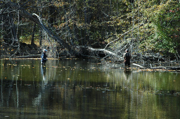 fishing in the creek