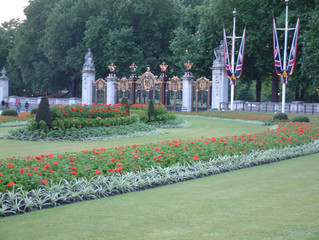 buckingham palast - park - garden