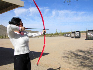 the lady archer
