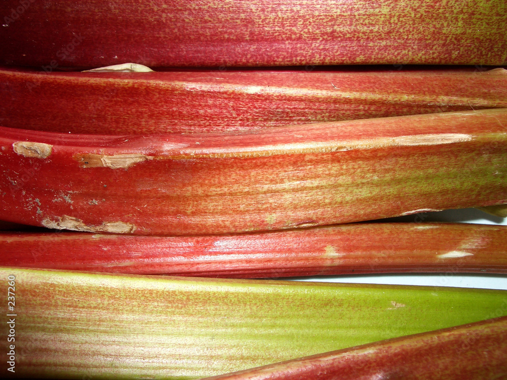 Wall mural vegetable texture 1