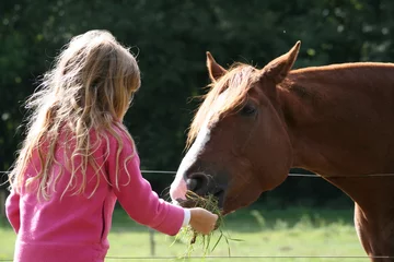 Deurstickers Paardrijden enfant et cheval