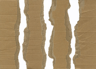 torn corrugated cardboard - obrazy, fototapety, plakaty