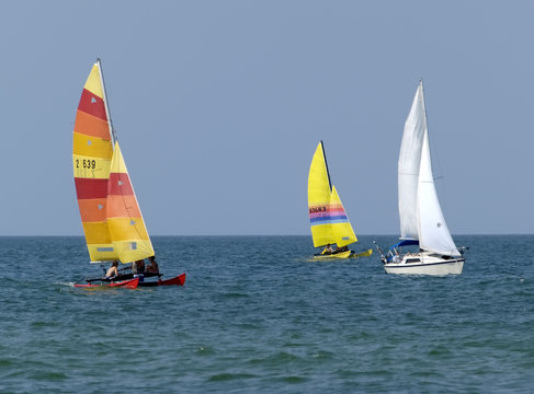 sailboats
