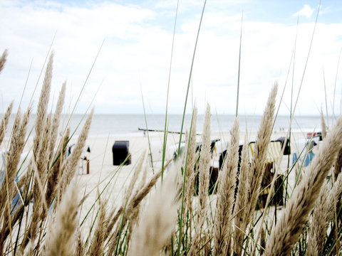 strand 2