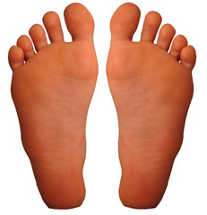 foot - 253064