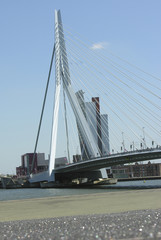 Fototapeta premium bridge