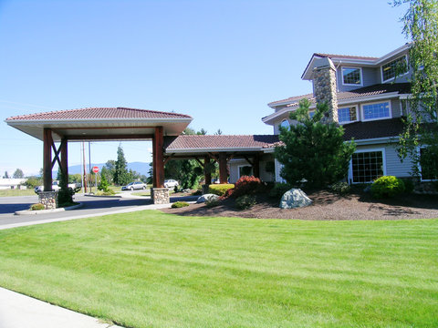 Lush Green Lawn