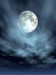 Cercles muraux Pleine Lune arbre lune