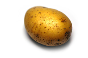 potato