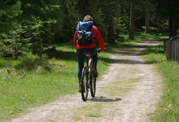 Fototapeta mountain path cyclist obraz