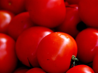 tomates