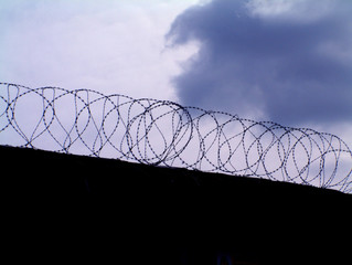 brabed wire
