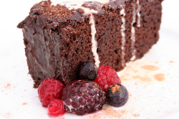 mud cake and forest fruit close up