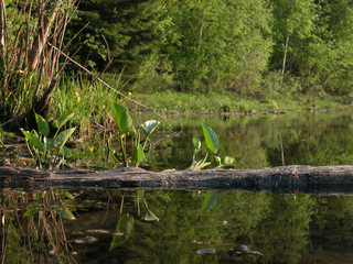 summer lake