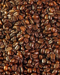 coffe beans