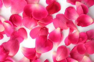 Fototapeta premium petals on white