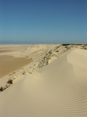 Fototapeta na wymiar des dunes de sable