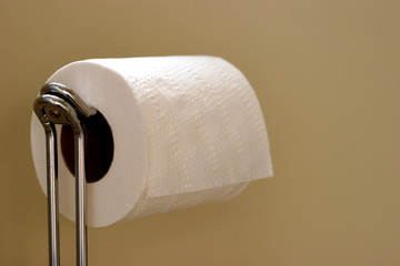 toilet paper