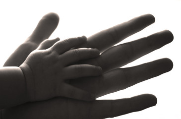 hand in a hand