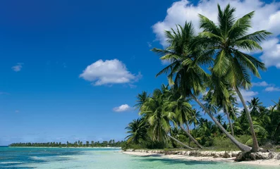 Photo sur Plexiglas Plage tropicale plage