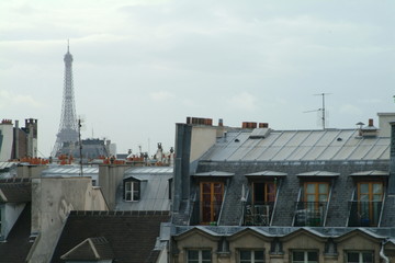 Fototapeta na wymiar Paryski Dachlandschaft