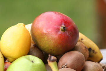 fruits