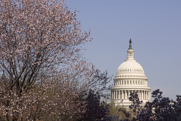 united states capitol building