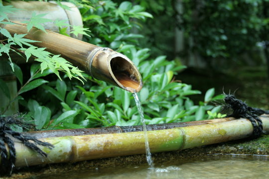 Japanese Bamboo Fountain