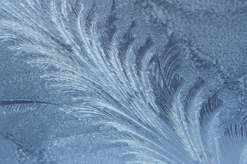 branch-like ice pattern