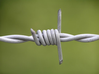barb wire